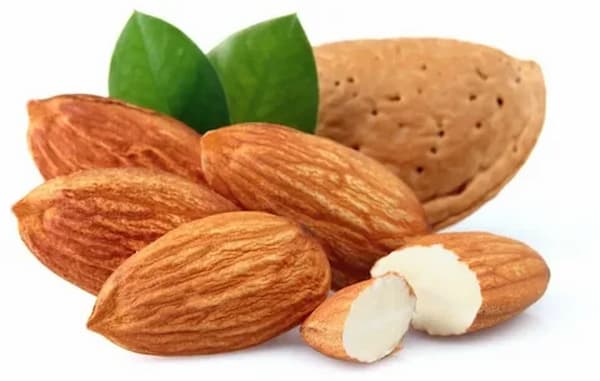 تصویر 4 از قیمت بادام سنگی درشت + خرید باور نکردنی